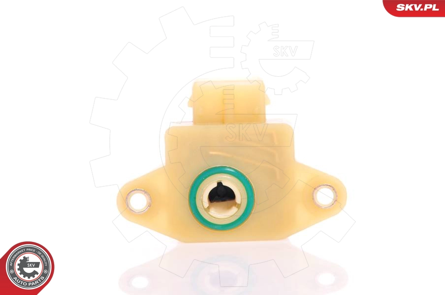 17SKV009