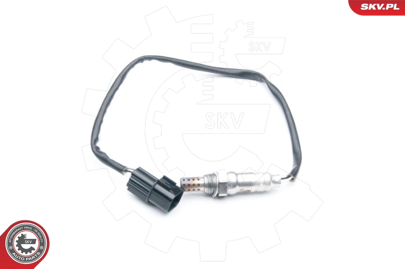 09SKV731