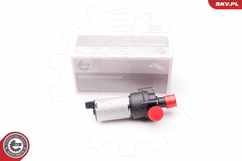 22SKV009