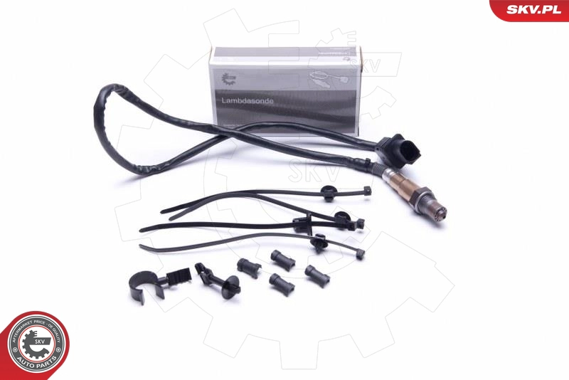 09SKV423