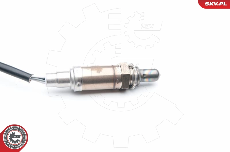 09SKV667