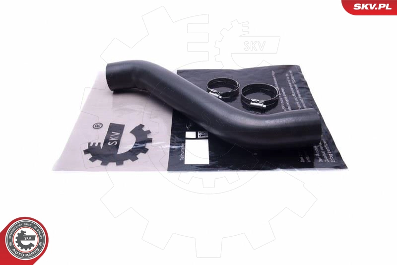 54SKV010