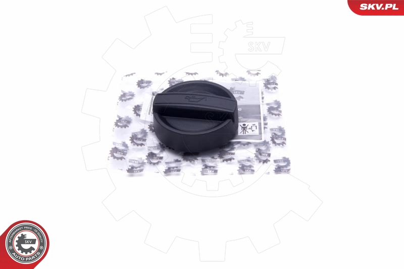 61SKV030
