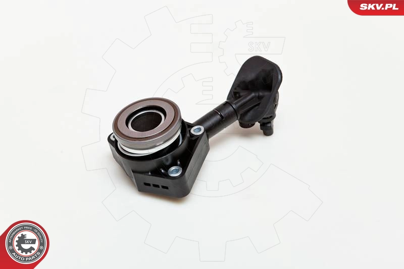 13SKV017