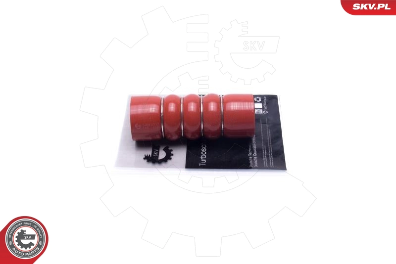 54SKV032