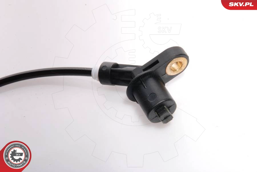 06SKV036