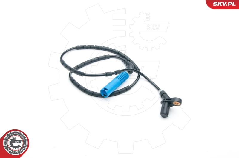 06SKV314