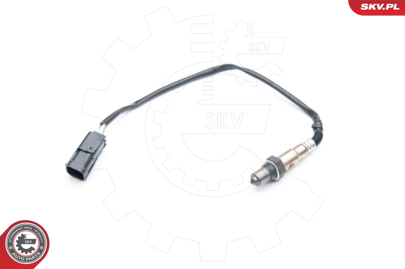 09SKV738