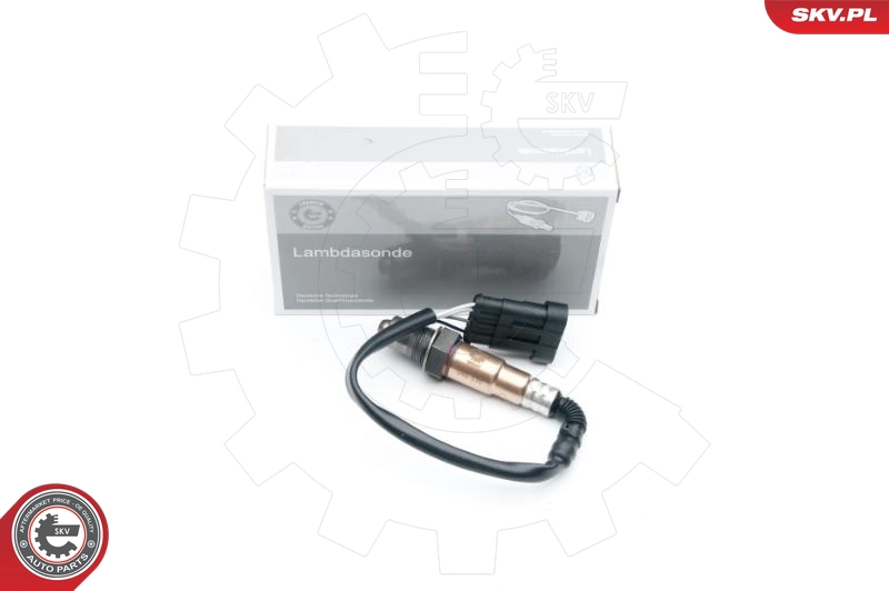 09SKV618