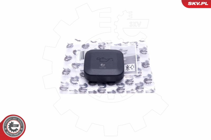 61SKV033