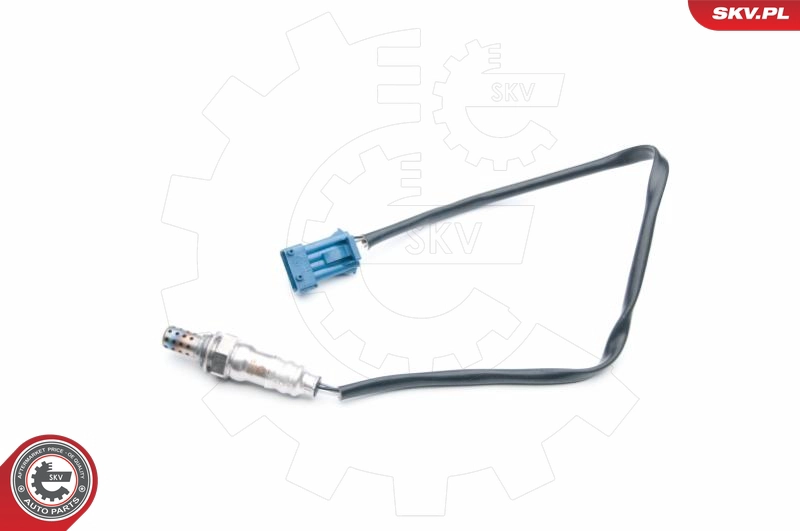 09SKV703