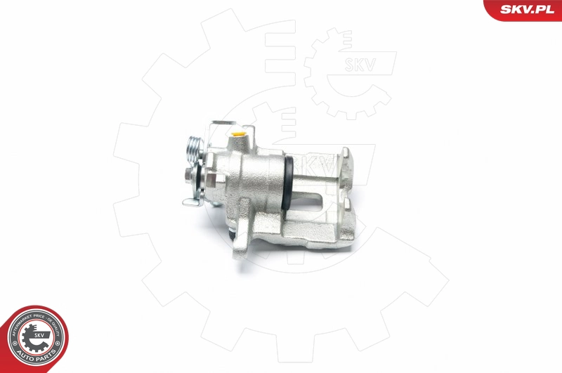 23SKV294