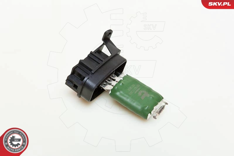 95SKV010
