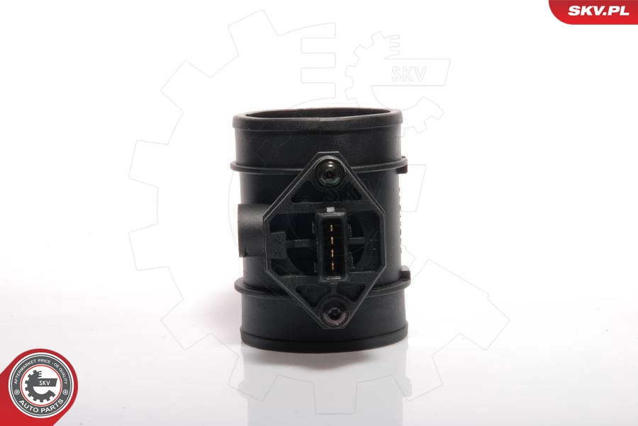 07SKV010