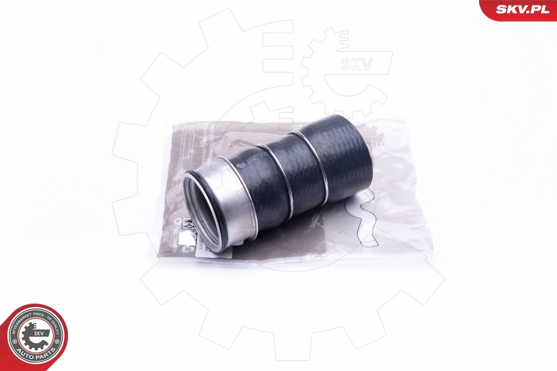 43SKV018