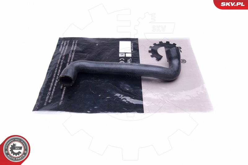 43SKV843