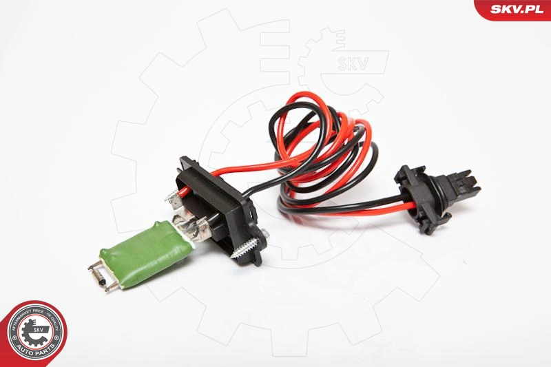 95SKV046