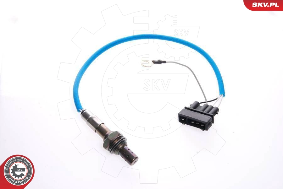 09SKV065