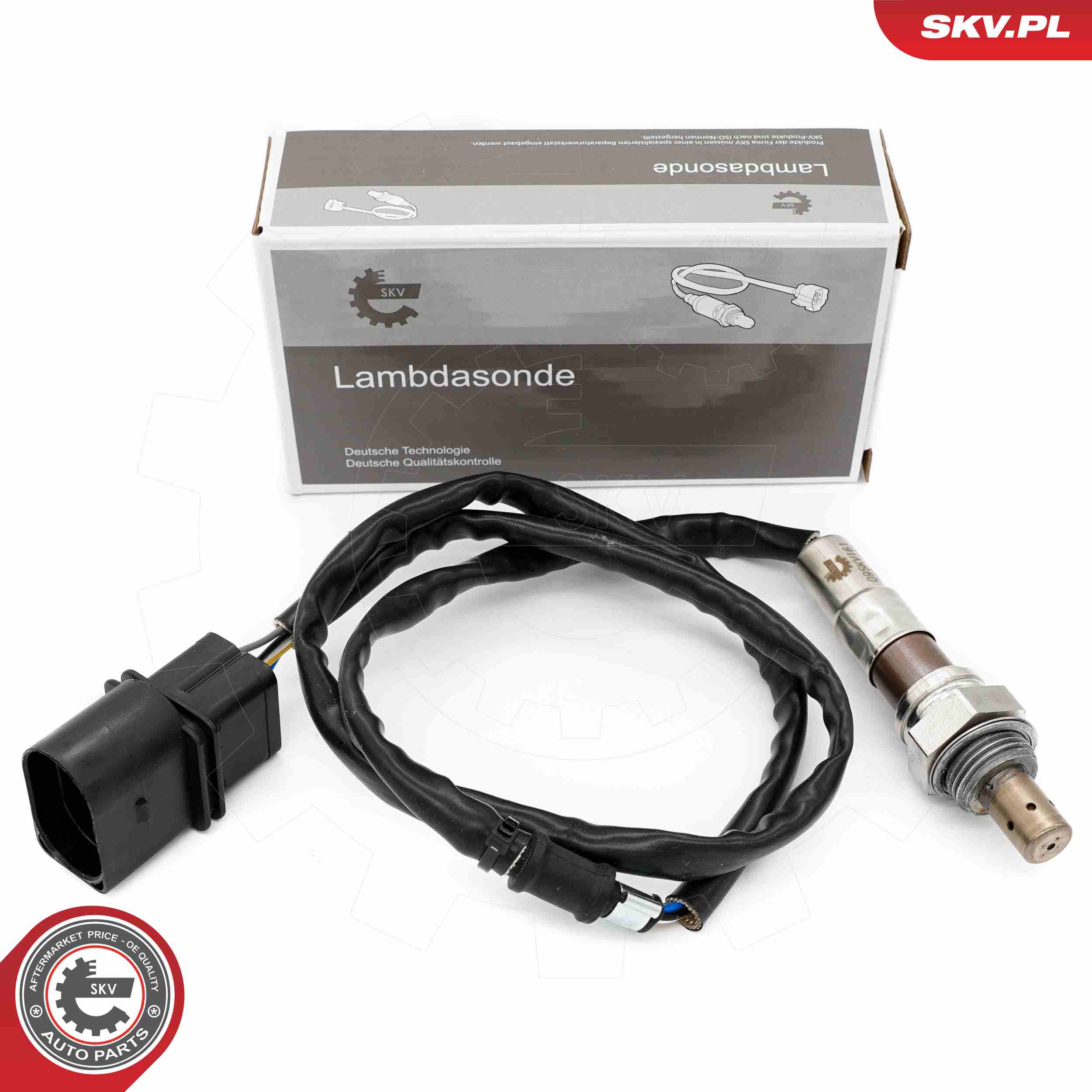 09SKV161