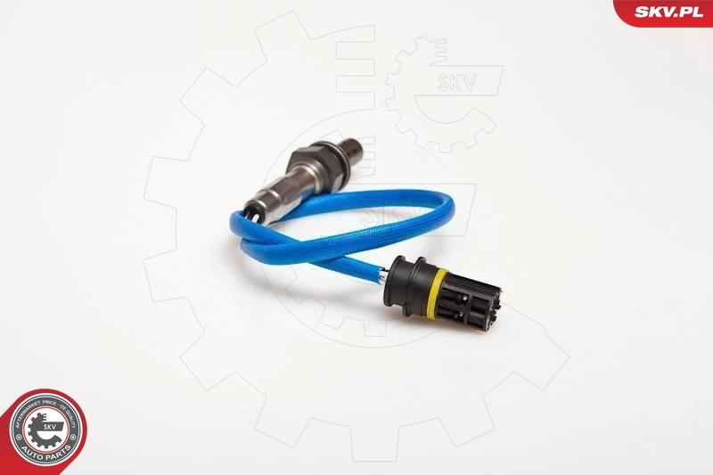09SKV080