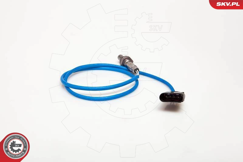 09SKV060
