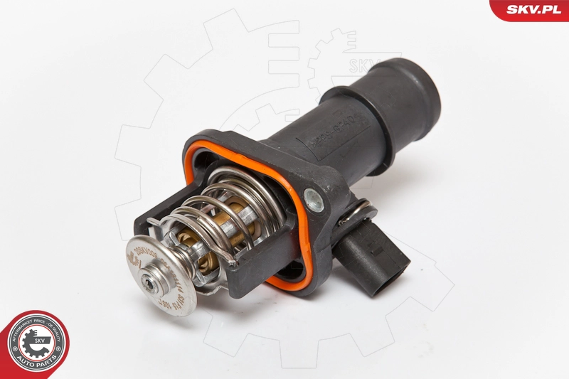 20SKV009