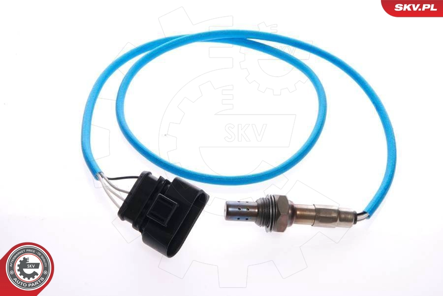 09SKV045
