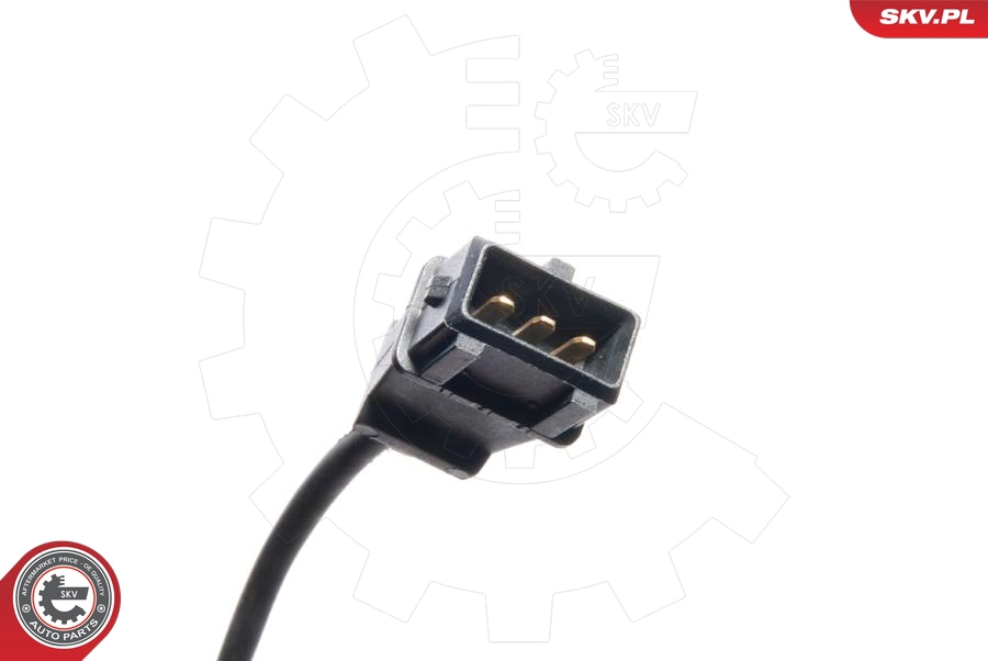 17SKV226