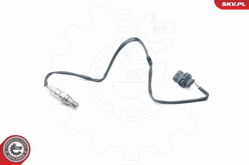 09SKV685