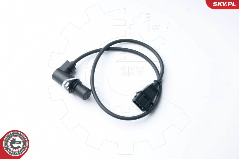 17SKV264
