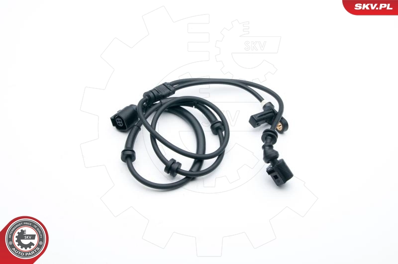 06SKV335