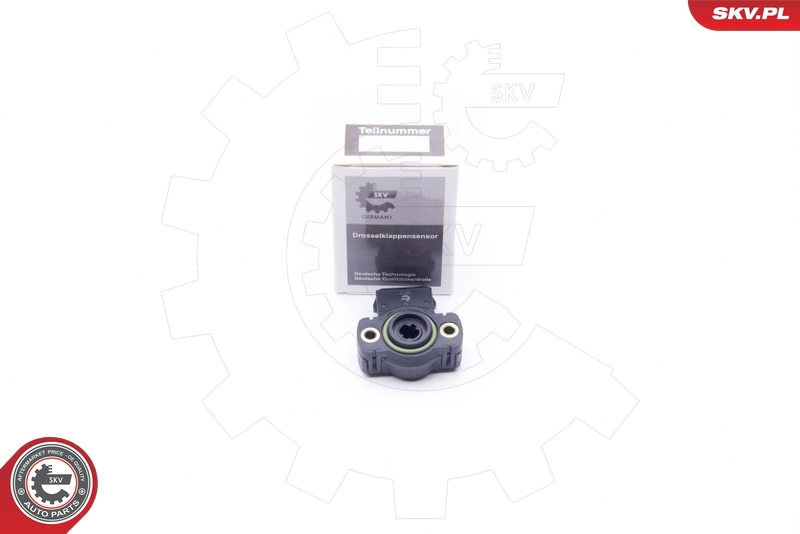 17SKV011