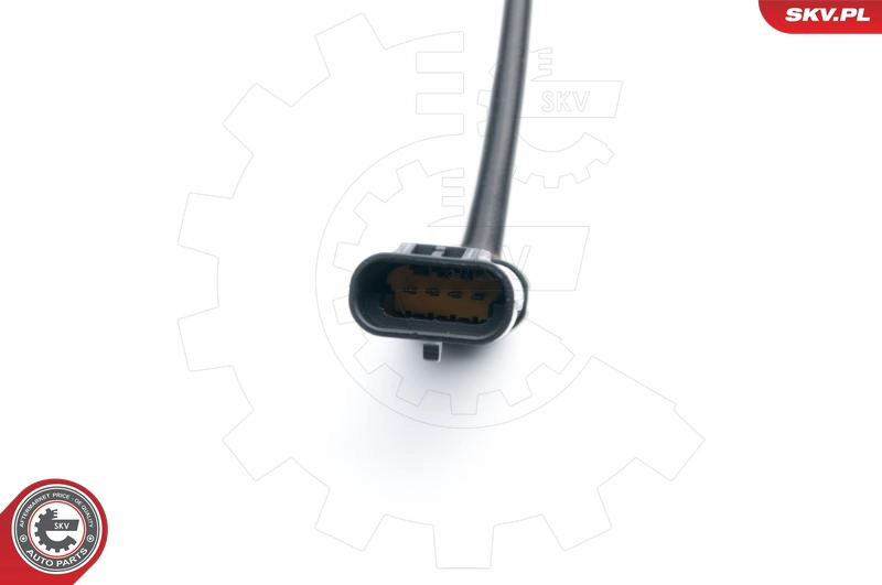 09SKV681