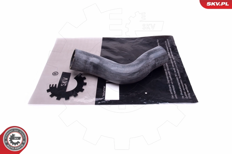 43SKV449