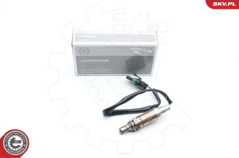 09SKV538