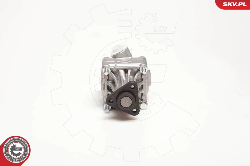 10SKV005