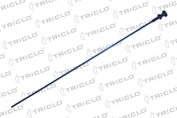 411291