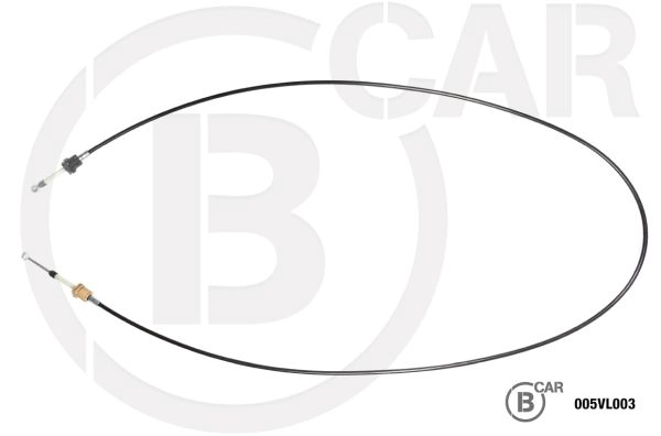 20545960