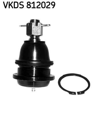 VKDS 812029
