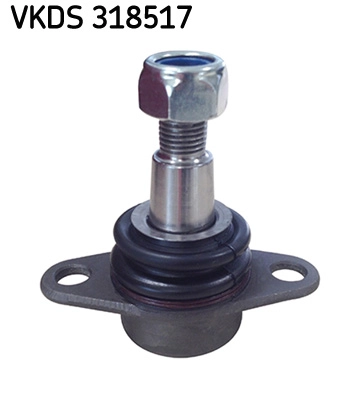 VKDS 318517