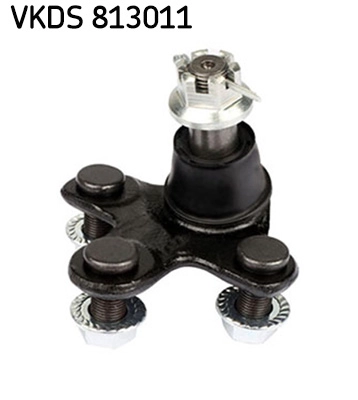 VKDS 813011