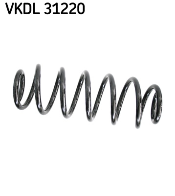VKDL 31220