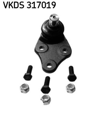 VKDS 317019