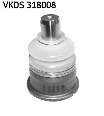 VKDS 318008