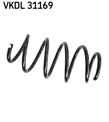 VKDL 31169