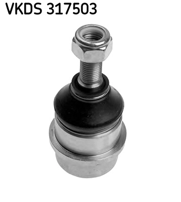 VKDS 317503