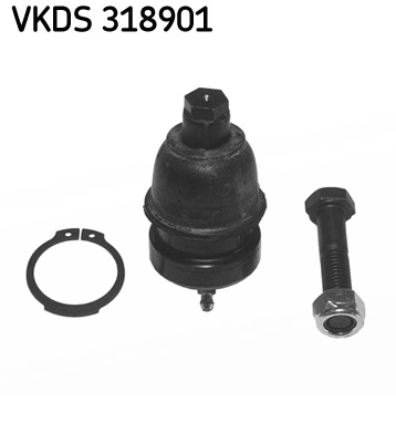 VKDS 318901