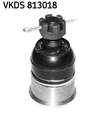 VKDS 813018