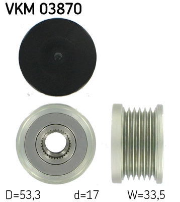 VKM 03870
