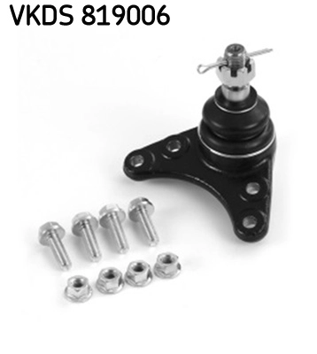 VKDS 819006